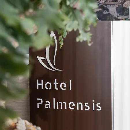 호텔 Palmensis