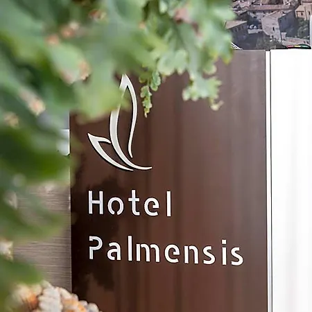 Palmensis Hotel