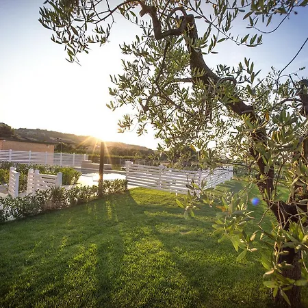 Hotel Palmensis 4*
